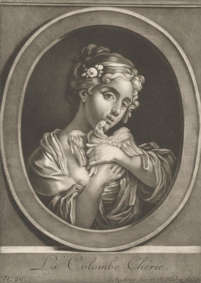 sevgili güvercin by Johann Jacobus Haid