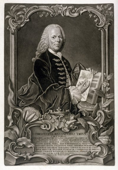 C.J. Trew, Botanikçi, pub. c.1768 by Johann Jakob Haid