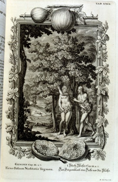 İsviçreli bilgin tarafından 'Physica Sacra'dan bakır levha gravürü. Johann Jakob Scheuchzer by Johann Jakob Scheuchzer