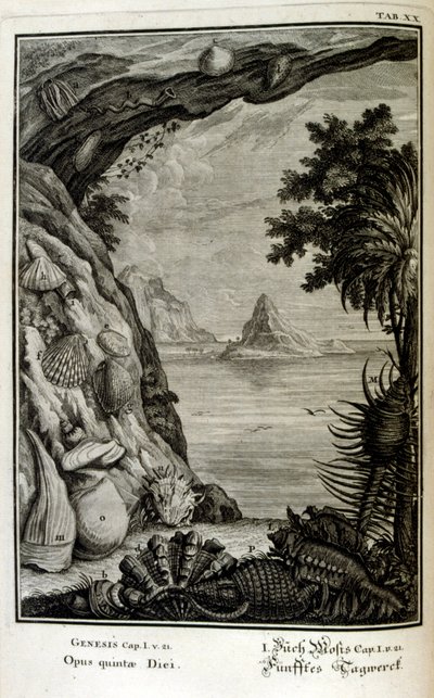 İsviçreli bilgin tarafından 'Physica Sacra'dan bakır levha gravürü. Johann Jakob Scheuchzer by Johann Jakob Scheuchzer