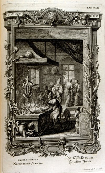 Kutsal Fizikten veya İncil'in Doğal Tarihinden Örnekleme by Johann Jakob Scheuchzer