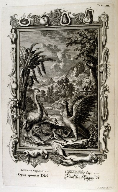 Genesis yaratılış anlatısı hem Yahudiliğin hem de Hıristiyanlığın yaratılış mitidir. Yaratılışın Beşinci Günü: Hayvanlar yaratıldı by Johann Jakob Scheuchzer