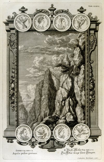 Zeus kartal olarak sembolize edildi by Johann Jakob Scheuchzer