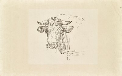 boğa başı by Johann Josef Schindler
