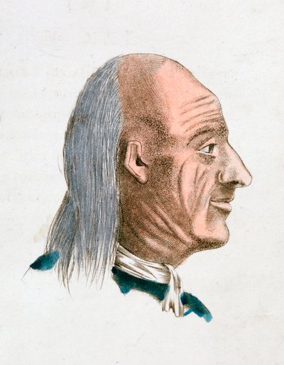 Neşeli ve kibar bir insanın yüz özellikleri, 1808 by Johann Kaspar Lavater