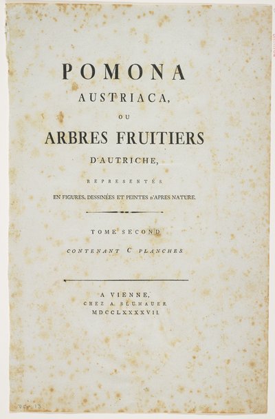 'Pomona Austriaca veya Avusturya Meyve Ağaçları'ndan Başlık Sayfası, 1787-96 (baskı) by Johann Kraft