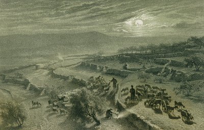 Beytüllahim