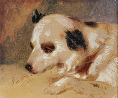 köpek kafası by Johann Matthias Ranftl
