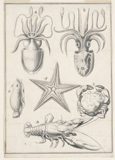 Beşinci Günün Çalışması by Johann Melchior Füssli