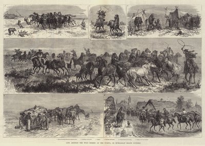 Puszta