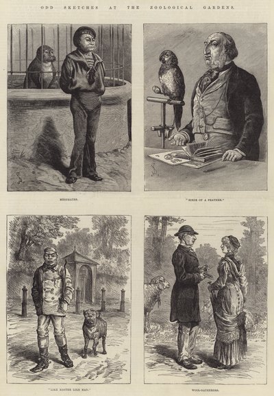 Hayvanat Bahçelerinde Tuhaf Eskizler by Johann Nepomuk Schonberg