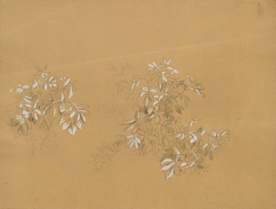 çalılık by Johann Peter Krafft