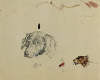 köpek çalışması by Johann Peter Krafft