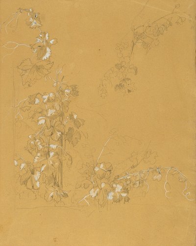 Weinstock, "Bağda Hermann ve Dorothea" Çalışması by Johann Peter Krafft