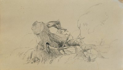 Kök sistemi, düşmüş ağaç by Johann Peter Krafft
