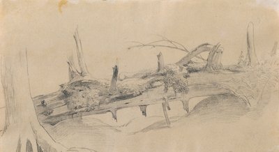 Kök sistemi, düşmüş ağaç by Johann Peter Krafft