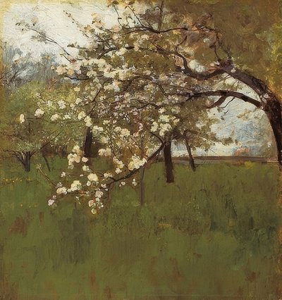 çiçek açan elma ağacı by Johann Sperl