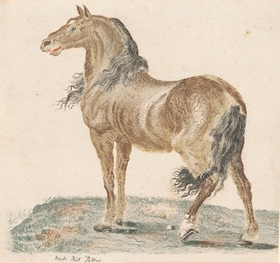 Komşu At, 1690