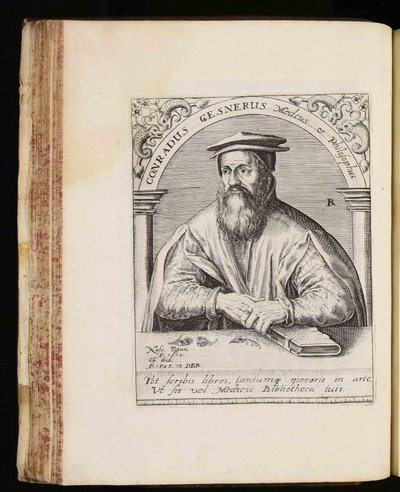 Conrad Gessner by Johann Theodor de Bry