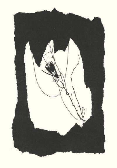  by Johanna Beckmann