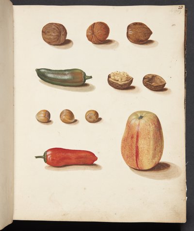 Elma, fındık ve biber çalışması by Johanna Fosie