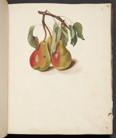 Ampullerin incelenmesi by Johanna Fosie