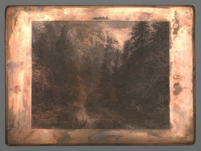 Ağaçlar arasında dağ nehir by Johannes Arnoldus Boland