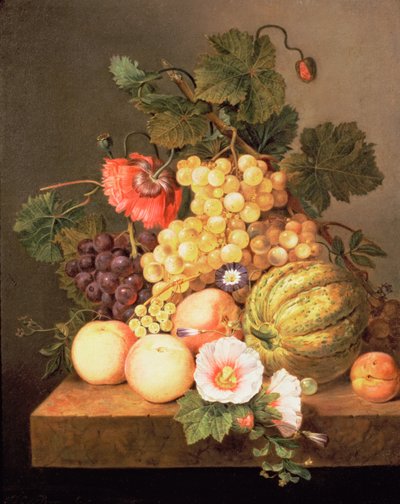Meyve ile natürmort by Johannes Cornelis Bruyn