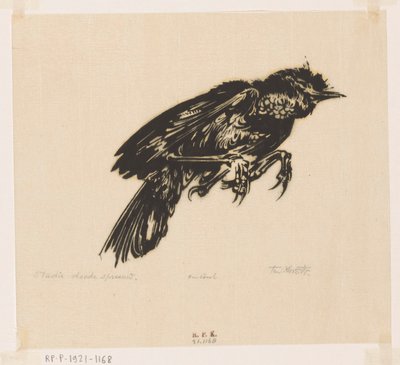 Ölü sığırcık (nesne üzerindeki orijinal başlık) by Johannes Frederik Engelbert ten Klooster (signed by artist)
