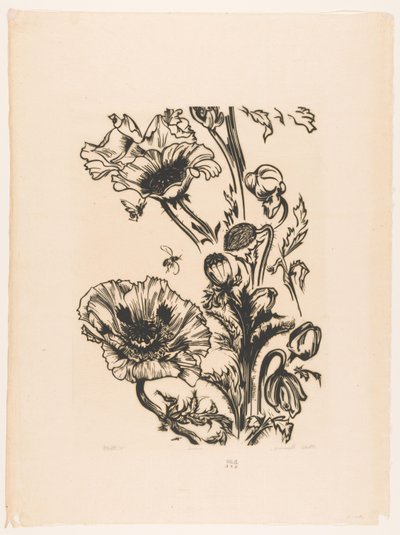 Çalışma gelincikleri (nesne üzerindeki orijinal başlık) by Johannes Frederik Engelbert ten Klooster (signed by artist)