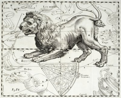 Aslan, Aslan takımyıldızı, Johann Hevelius