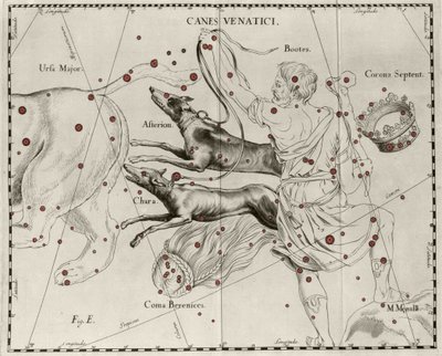 Takımyıldız Canes Venatici, Av Köpekleri. Johannes Hevelius veya Hevel (1611-1687) tarafından “” Firmamentum Sobiescanum sive Uranographia”dan çizilmiş plaka by Johannes Hevelius