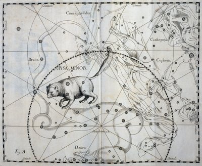 Küçük Ayı, Küçük Ayı'nın Boreal takımyıldızı, göksel atlas Firmamentum Sobiescianum sive Uronographia'dan gravür, Johann Hevelius (1611-1687), Gdansk by Johannes Hevelius