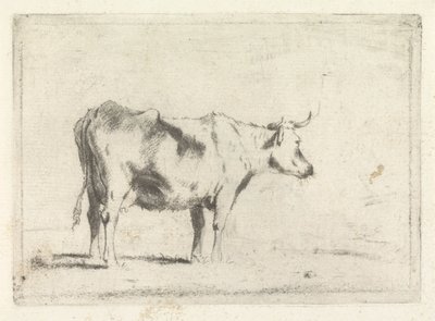 İnek, sağa by Johannes Janson (possibly)