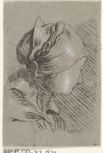 kadın büstü by Johannes Janson (possibly)