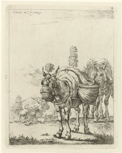 İki paketlenmiş katır by Johannes Janson