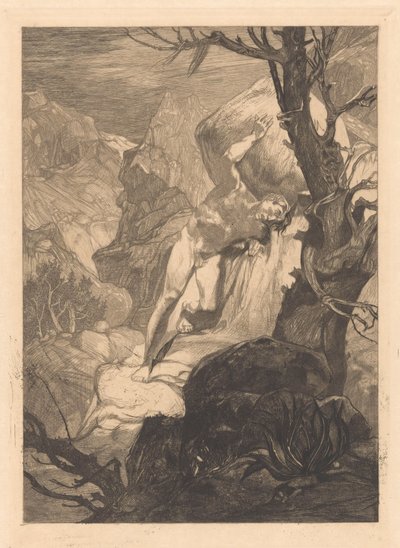 Kayalık arazide yaralandı by Johannes Josephus Aarts