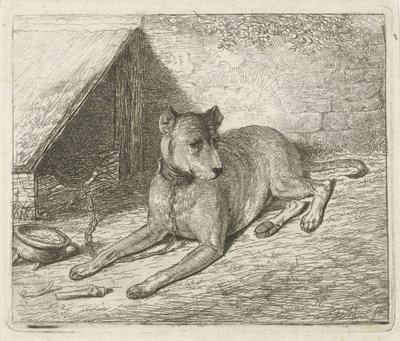 Köpek kulübesinde zincire vurulmuş köpek by Johannes Mock