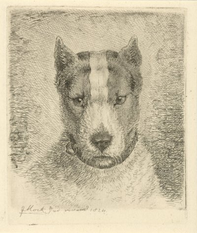 Yakalı köpek kafası by Johannes Mock