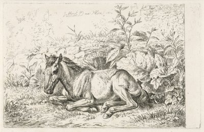 Bazı bitkilerin önünde yatan at by Johannes Mock