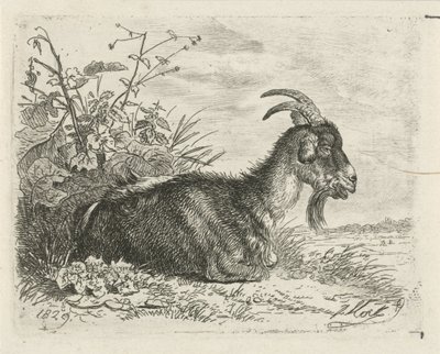 yalan kitabı by Johannes Mock