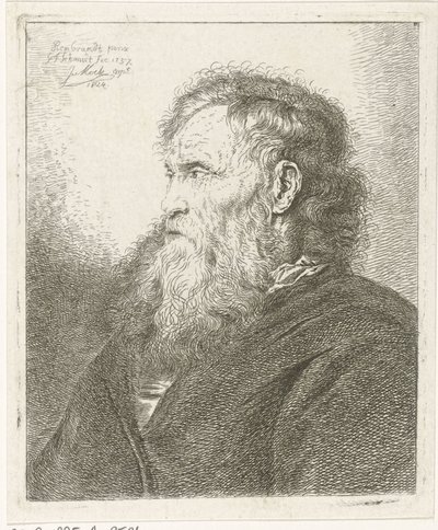 Sakallı yaşlı adam by Johannes Mock
