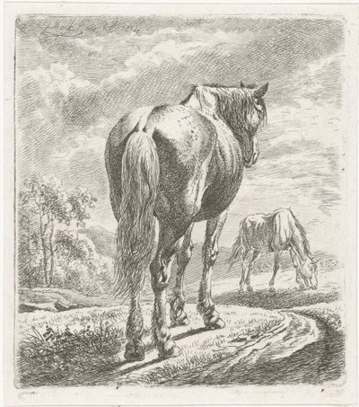 Arkadan görülen at by Johannes Mock