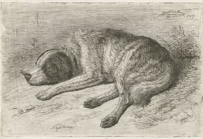Soldaki uyuyan köpek Neptün (nesne üzerindeki başlık) by Johannes Mock
