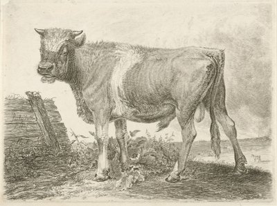 Boğa burcu by Johannes Mock