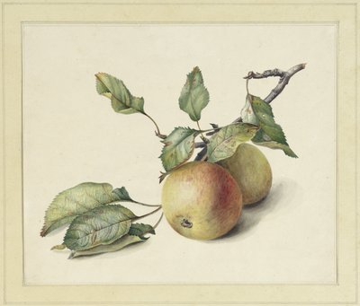 Bir dalda iki elma by Johannes Reekers (II)