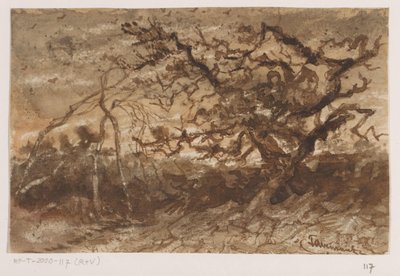 gün batımında ağaç by Johannes Tavenraat (signed by artist)