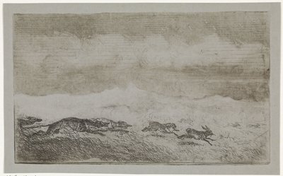 Hazenjacht by Johannes Tavenraat