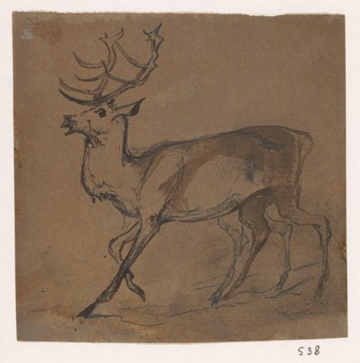 Hert by Johannes Tavenraat