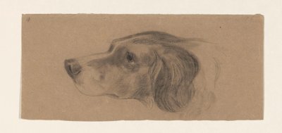 Bir köpeğin başı, solda by Johannes Tavenraat